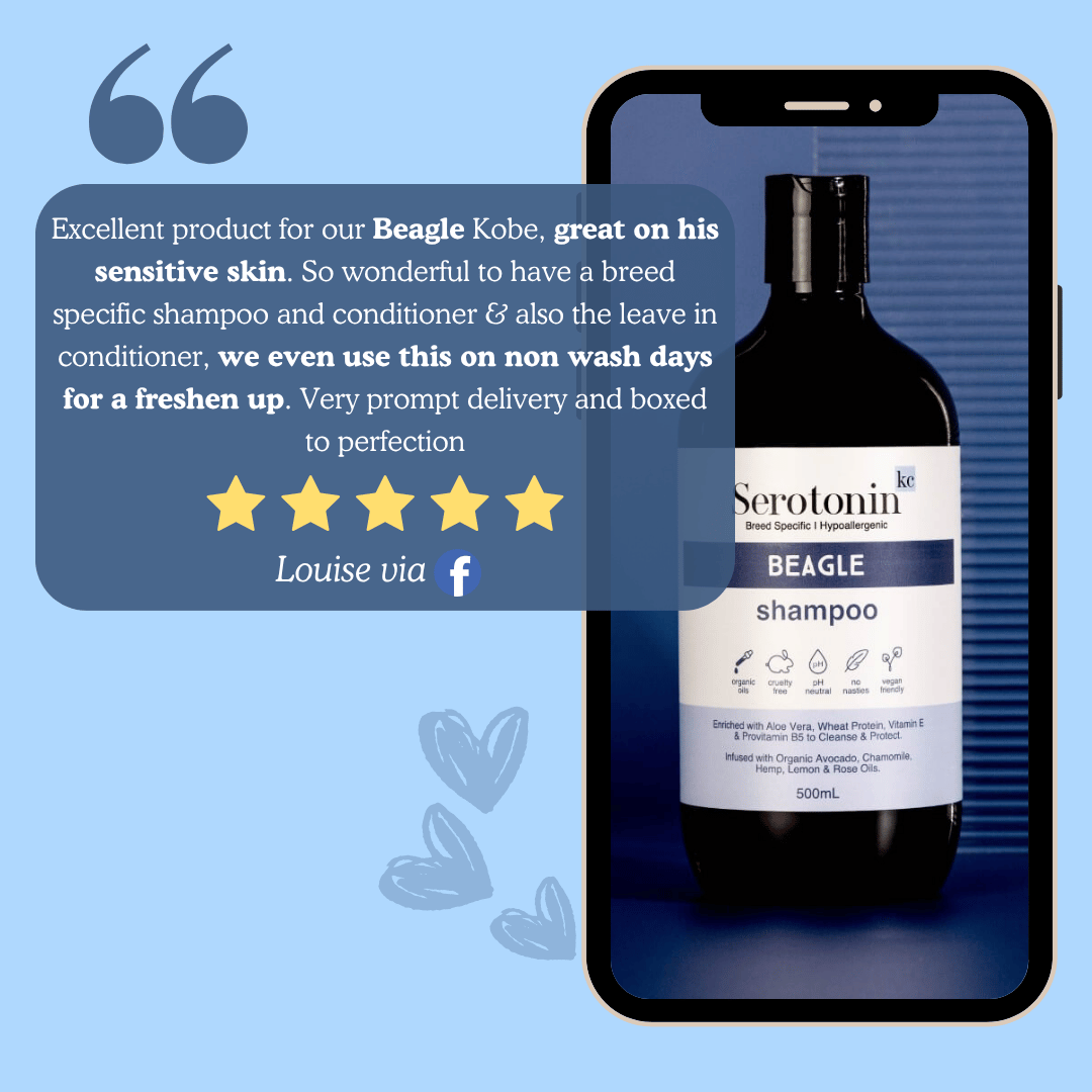 Serotoninkc Beagle Dog Shampoo Review Breed Specific
