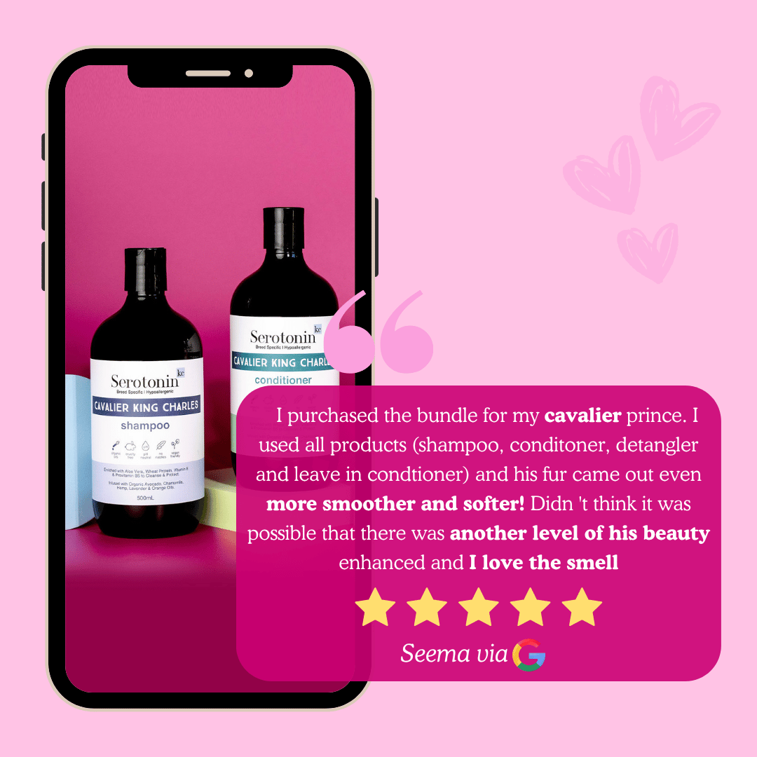 Customer Review Cavalier King Charles Spaniel Sensitive Shampoo Conditioner