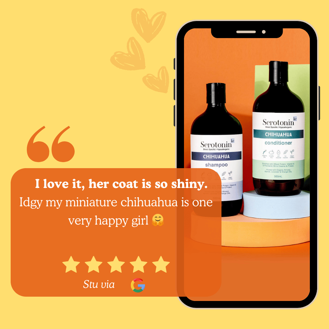 Chihuahua Dog Shampoo Customer Review Sensitive Skin