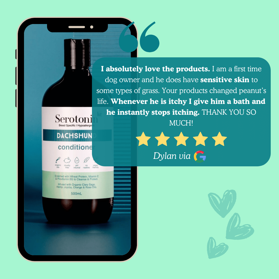 Serotoninkc Customer Review Itchy Dachshund Shampoo Conditioner