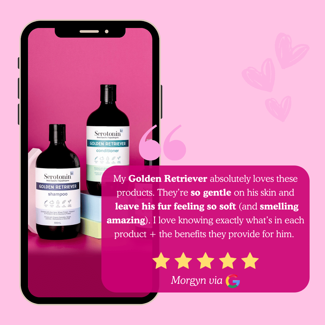 Serotoninkc Customer Review Golden Retriever Shampoo Deshedding