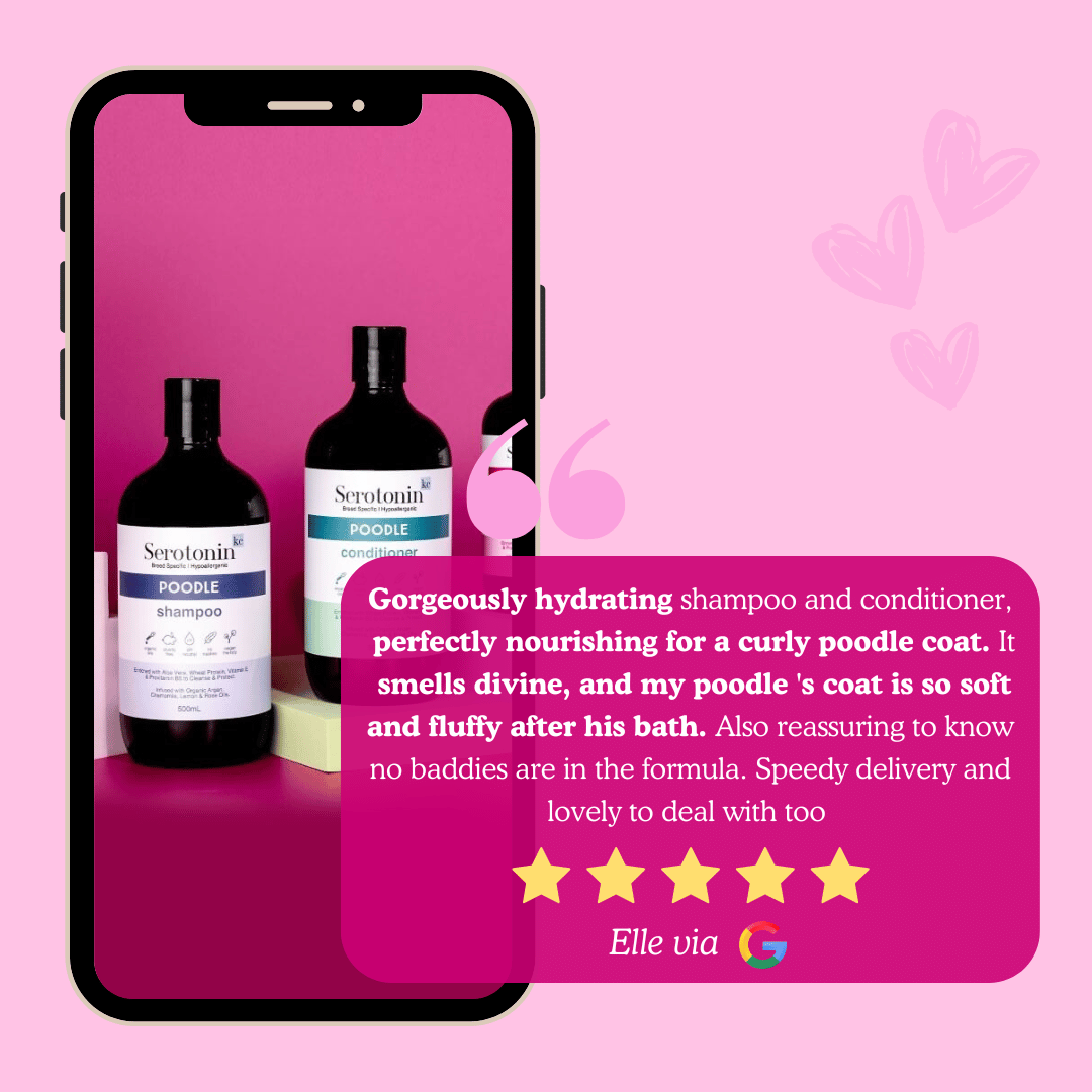 Serotoninkc Poodle Shampoo Conditioner Curly Hair Dog Natural Customer Review