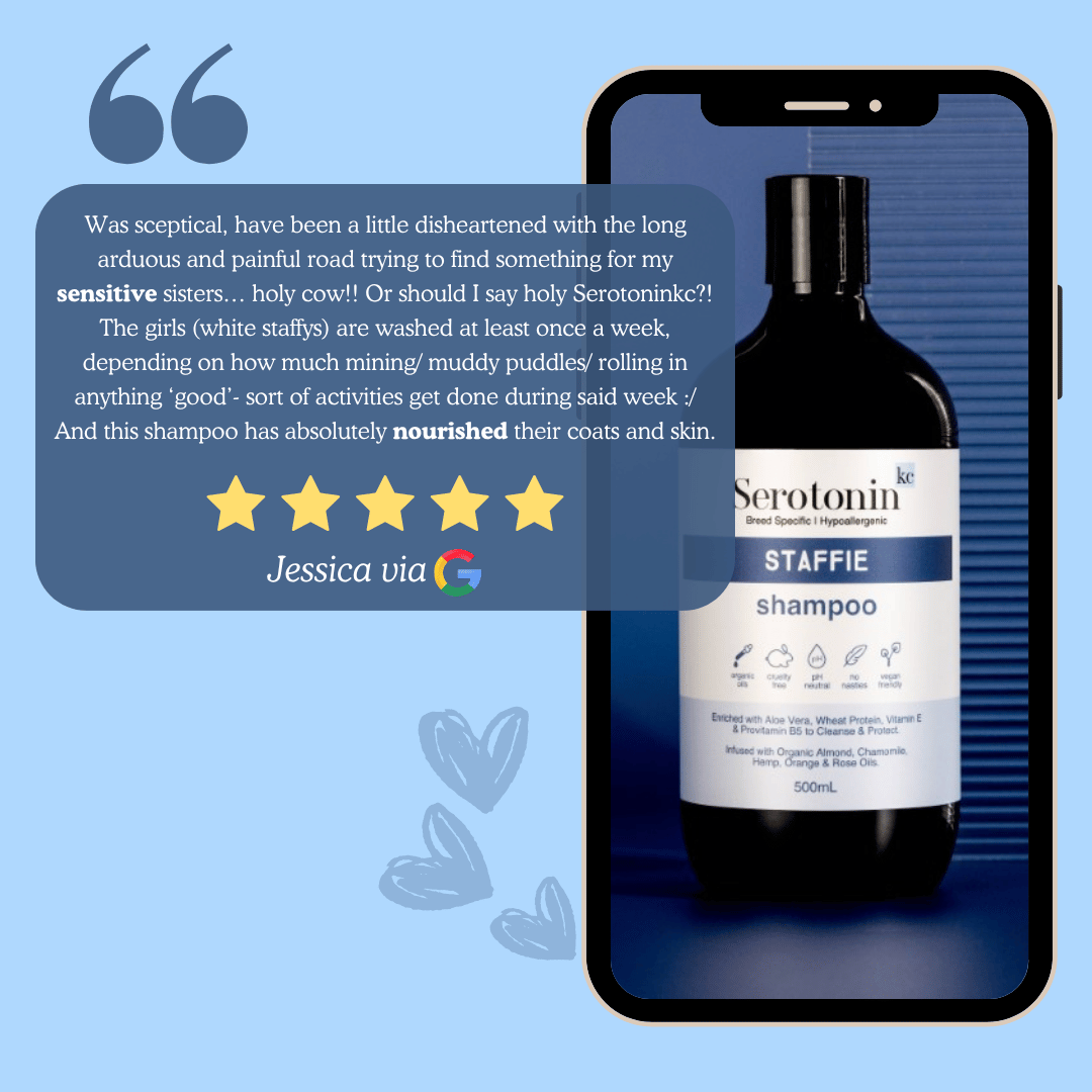 Serotoninkc Staffie Staffy Sensitive Itchy Skin Dog Conditioner Customer Review