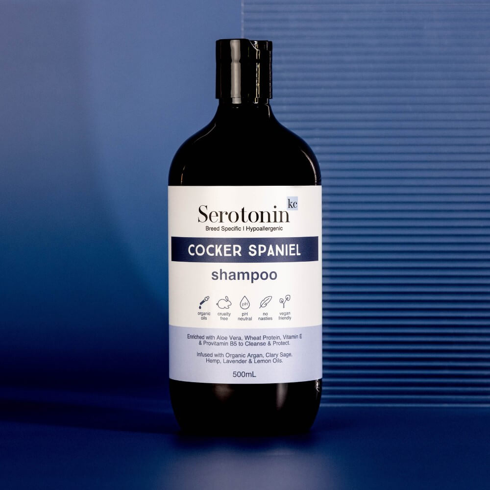 Hypoallergenic Cocker Spaniel Shampoo. The best dog shampoo for Cocker Spaniel Curls