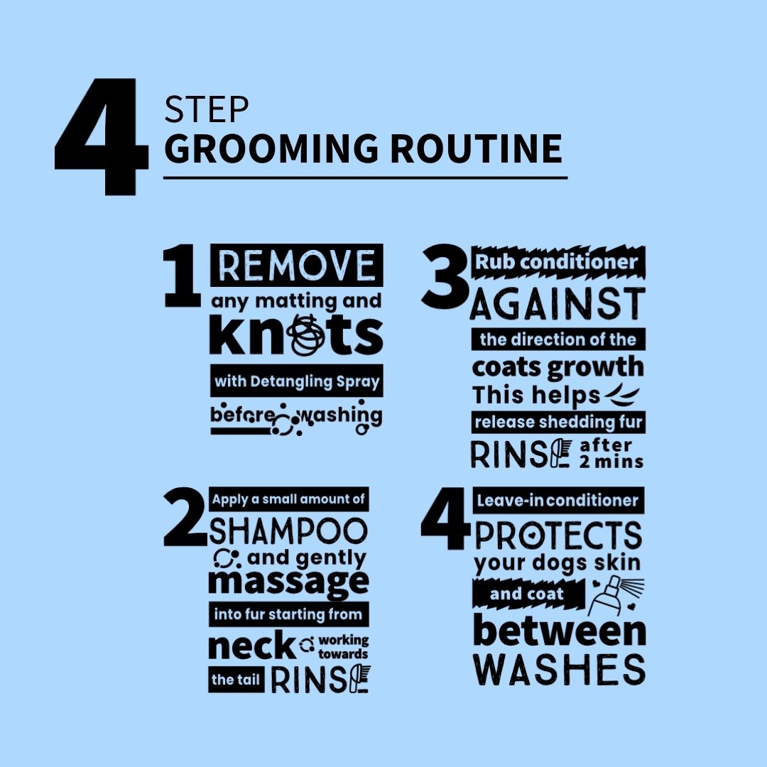 Serotoninkc 4 Step Grooming Routine Cavalier King Charles Spaniel Shampoo