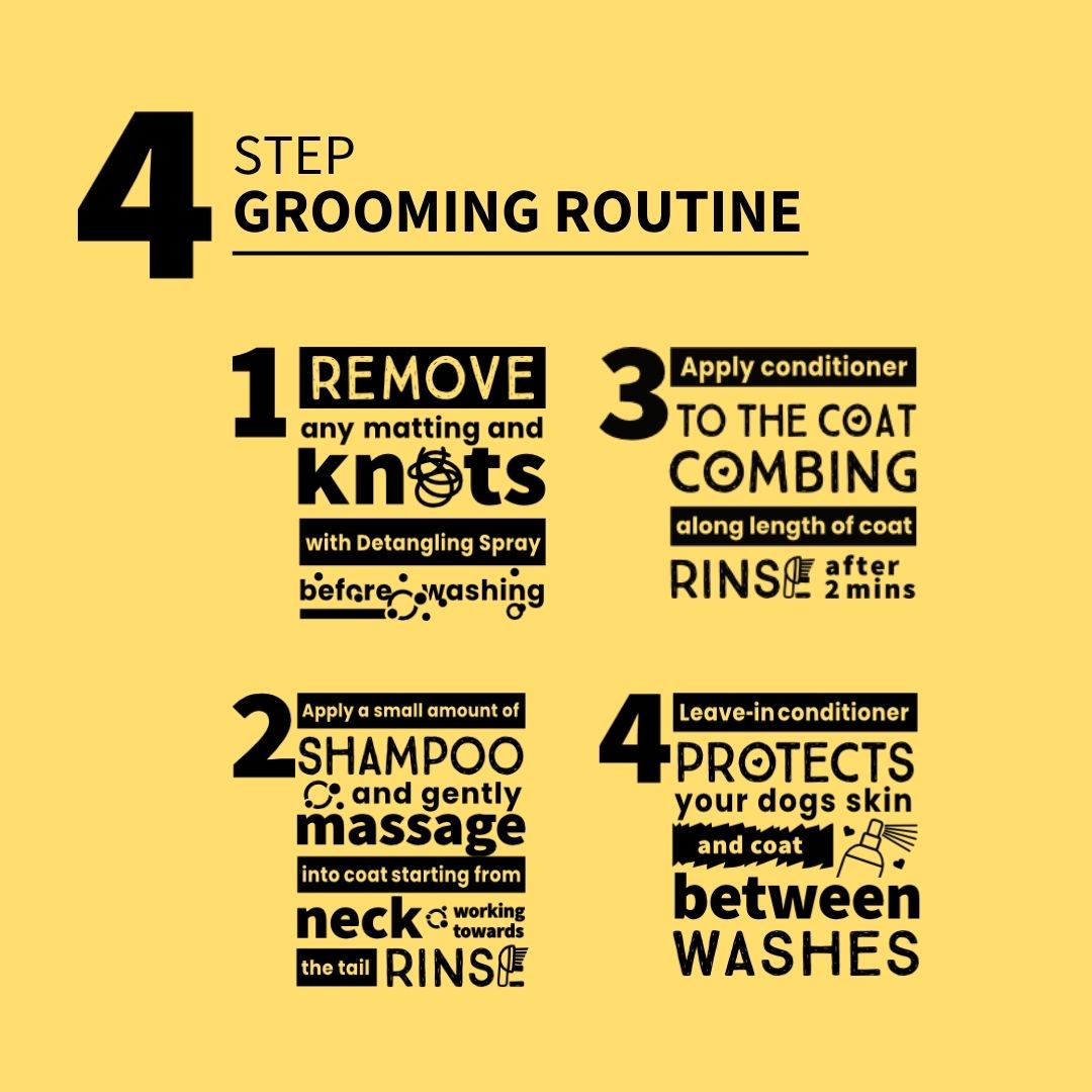 4-step grooming routine for Maltese dogs on a yellow background