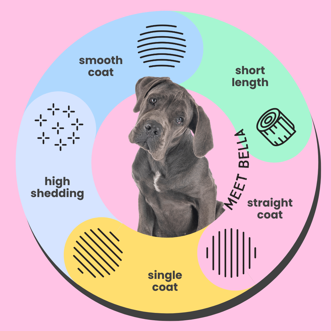 Serotoninkc Great Dane Sensitive Skin Dog Shampoo Conditioner Infographic