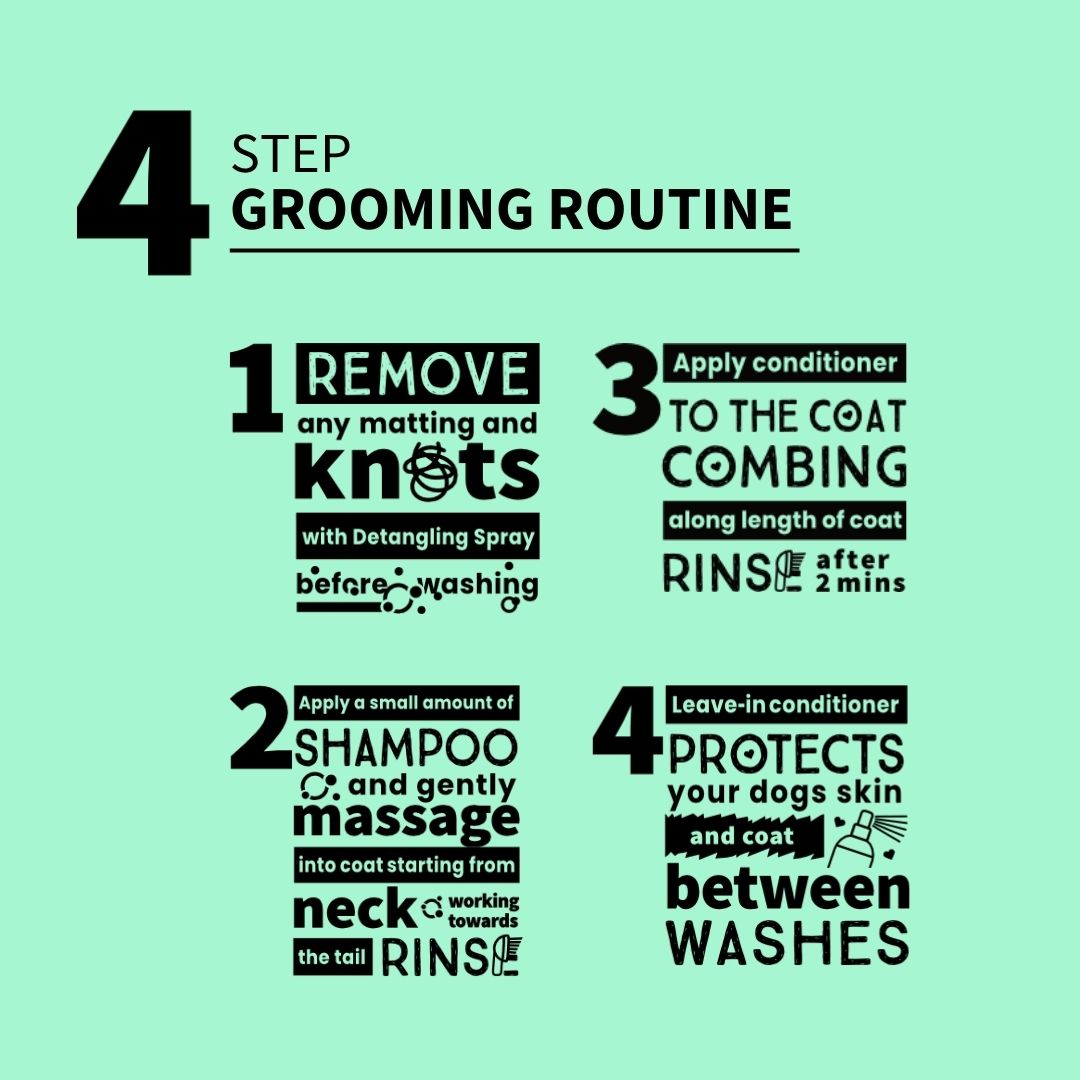 Cocker Spaniel Shampoo Hypoallergenic Grooming Routine