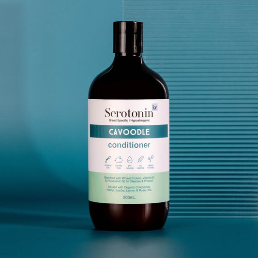 Hypoallergenic Cavoodle Conditioner. The best dog conditioner for Cavoodles and Oodles