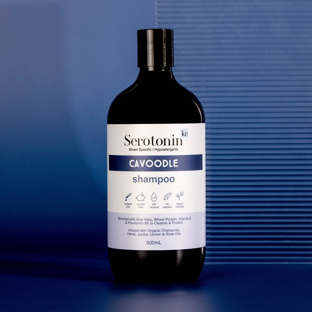 Hypoallergenic Cavoodle Shampoo. The best dog shampoo for Cavoodles and Oodles