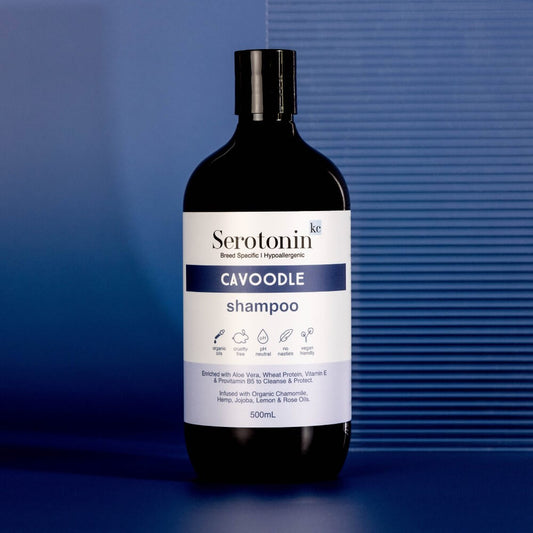 Hypoallergenic Cavoodle Shampoo. The best dog shampoo for Cavoodles and Oodles