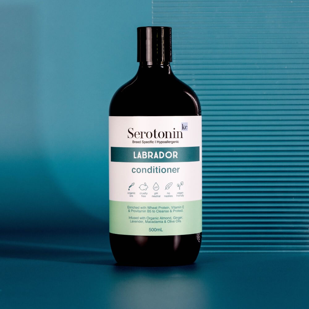the best conditioner for Labrador retrievers with sensitive skin dandruff