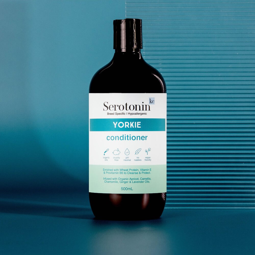 The best conditioner for Yorkshire Terriers Drop Coat Yorkies Sensitive Skin