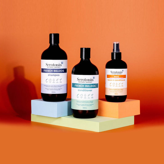 The best shampoo and conditioner for French Bulldogs