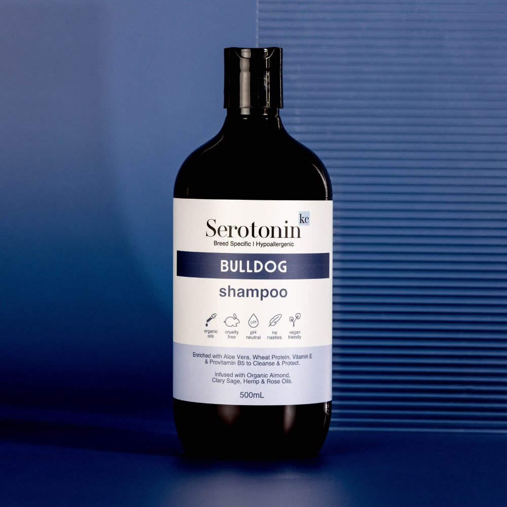 The best shampoo for Bulldogs - dogs with skin folds