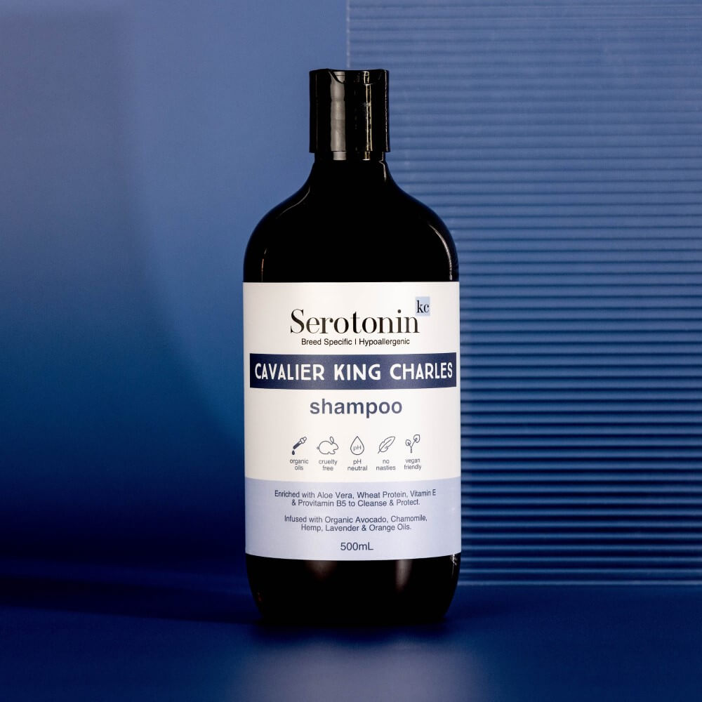 the best shampoo for cavalier king charles spaniels dogs