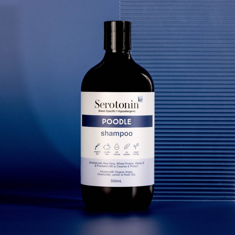 hypoallergenic poodle shampoo. the best shampoo for poodles.
