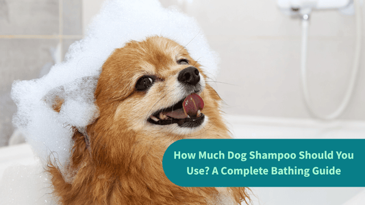 How Much Dog Shampoo Should You Use? A Complete Bathing Guide