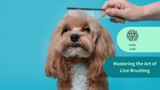Mastering the Art of Line Brushing