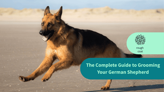 The Complete Guide to Grooming Your German Shepherd