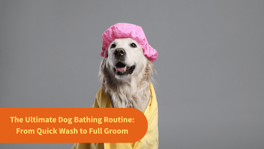 The Ultimate Dog Bathing Routine: From Quick Wash to Full Groom
