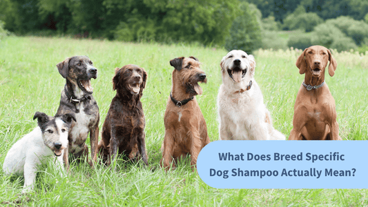 What Does Breed Specific Dog Shampoo Actually Mean?