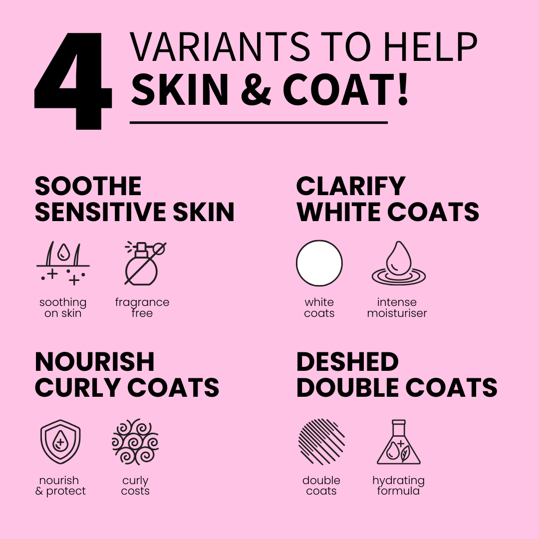 4 shampoo and conditioner groomers collection - sensitive skin clarify white coats curly deshedding dogs