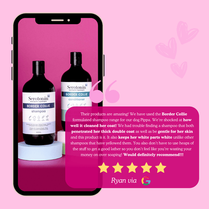 Customer Review Border Collie Bundle Pack Shampoo Conditioner Double Coat Dog