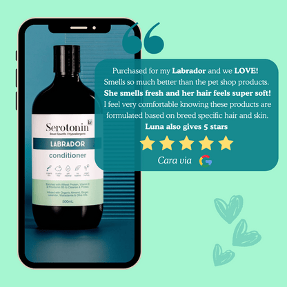 Serotoninkc Deshedding Labrador Dog Shampoo Conditioner Bundle Customer Review