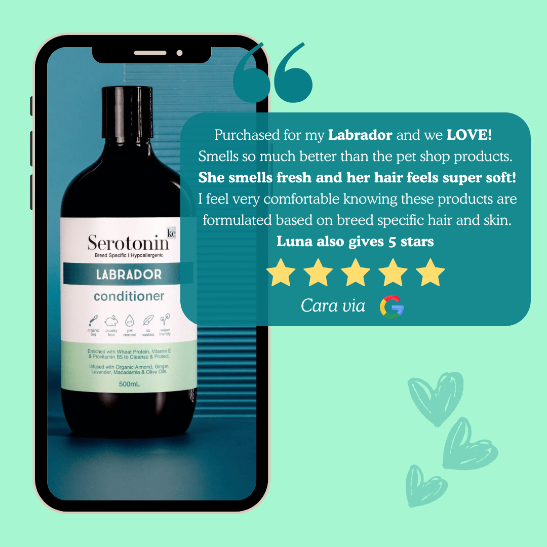 Serotoninkc Breed Specific Labrador Dog Shampoo Customer Review
