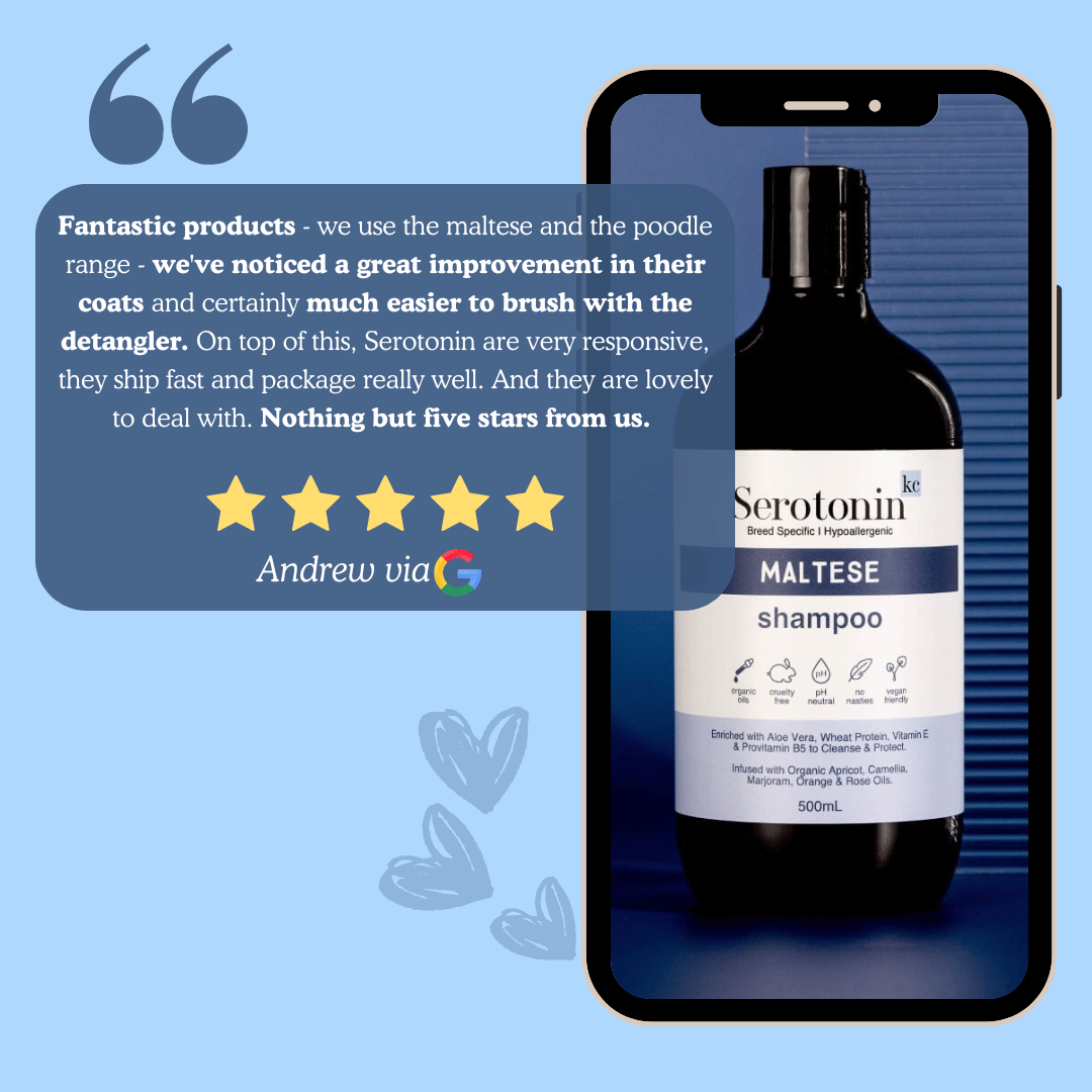 Customer review for Maltese shampoo