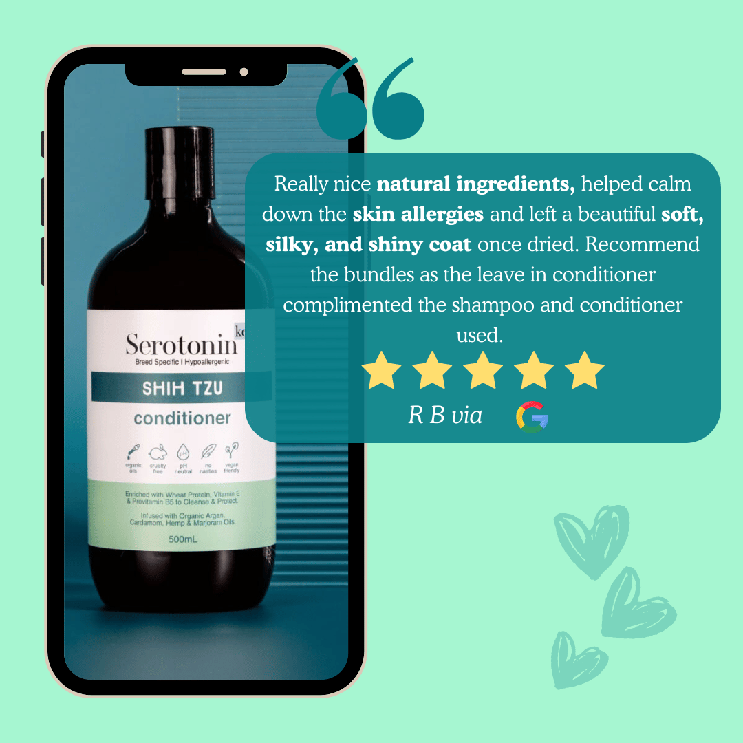 SerotoninKC Shih Tzu Long Drop Coat Conditioner Customer Review