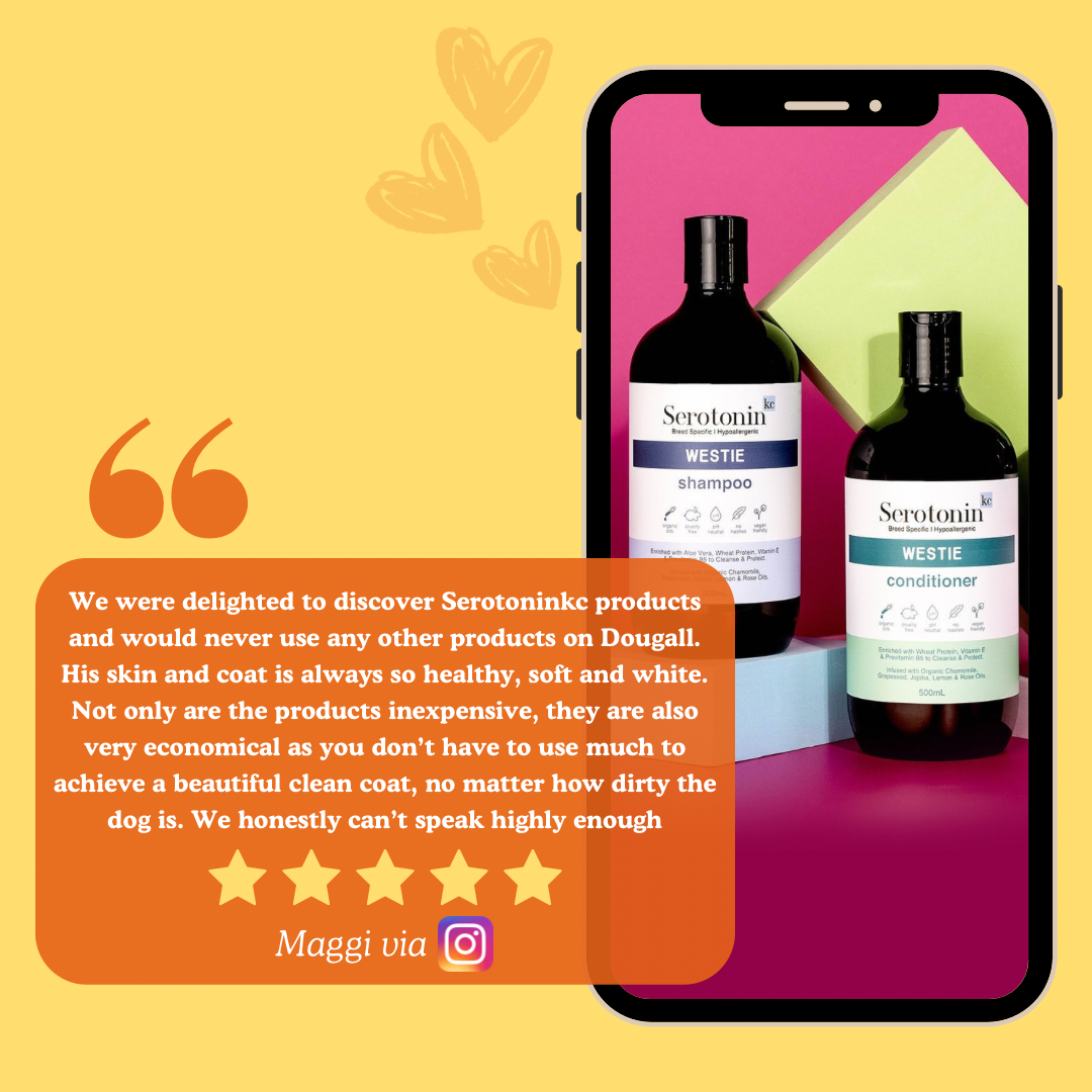 Customer review for westie shampoo and conditioner bundle pack