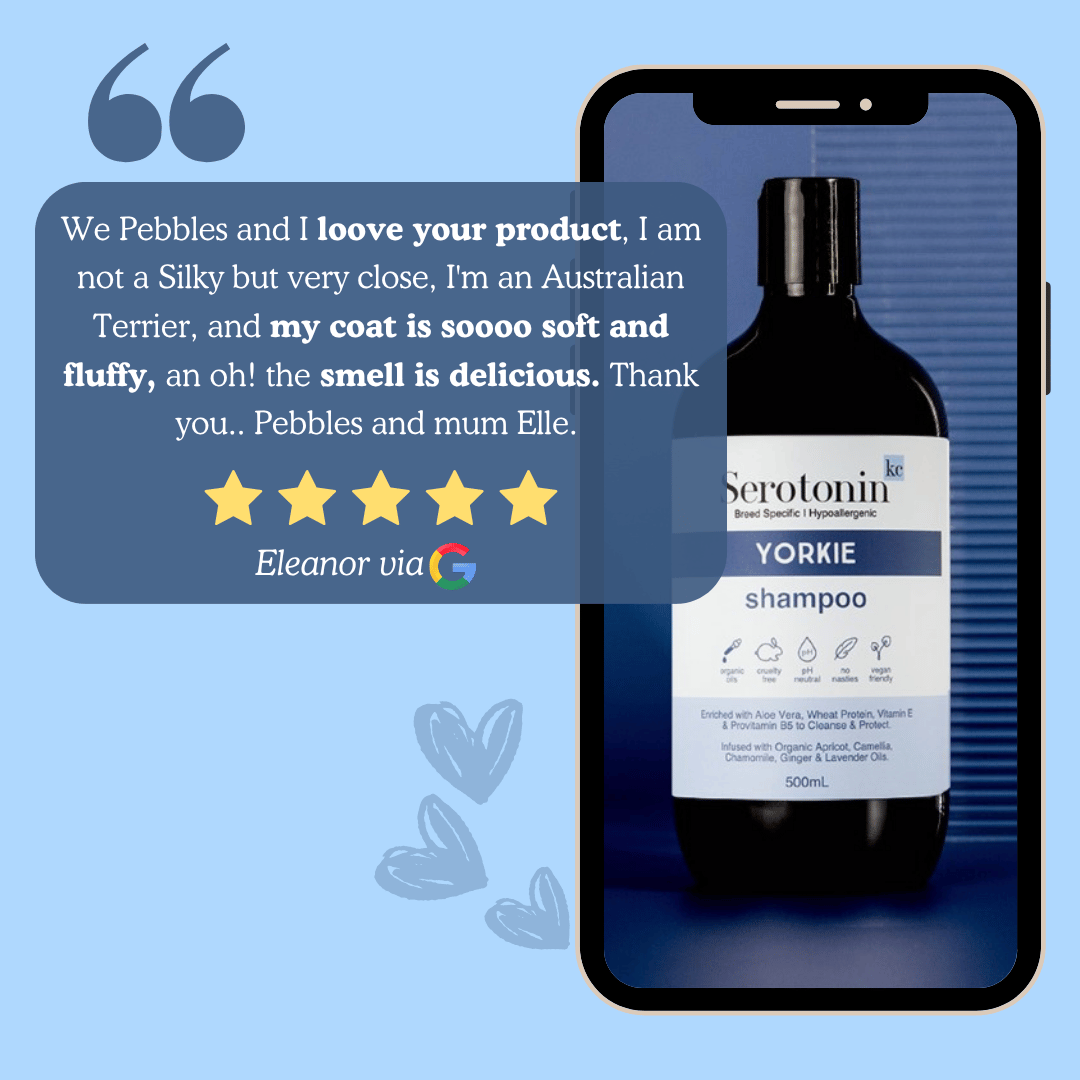 SerotoninKC Yorkshire Terrier Yorkie Conditioner Customer Reviews