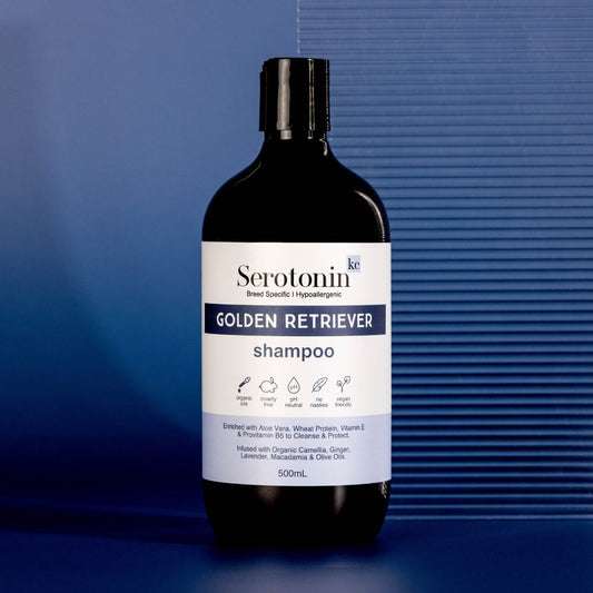 Hypoallergenic Golden Retriever Shampoo. The best deshedding shampoo for goldies