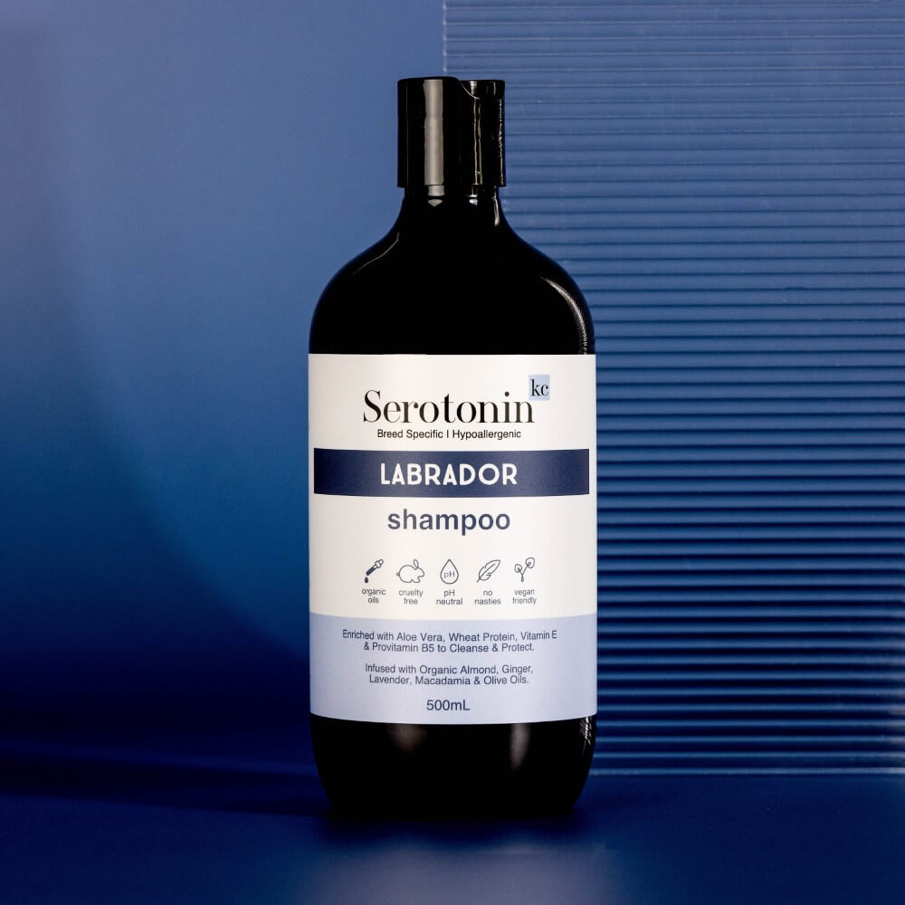 Serotoninkc Hypoallergenic Labrador Shampoo – SerotoninKC