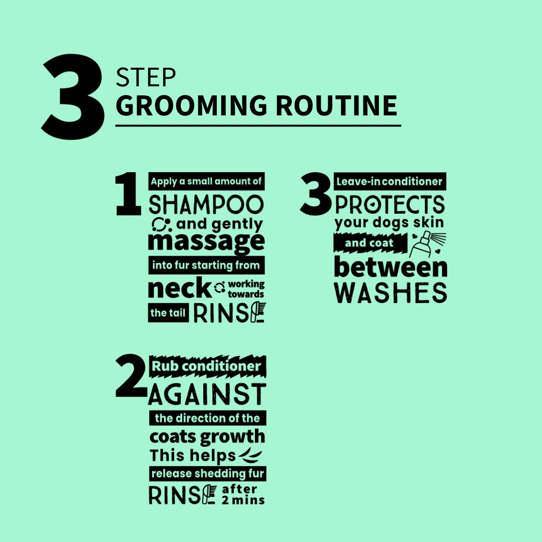 Jack Russell Conditioner for Coarse Coat 3 Step Grooming Routine Icons 