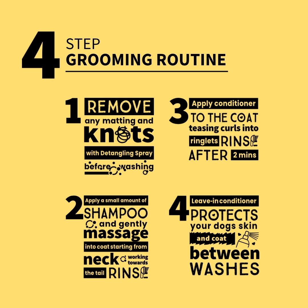 Cavoodle-Curly-Shampoo-Hypoallergenic-Grooming-Routine