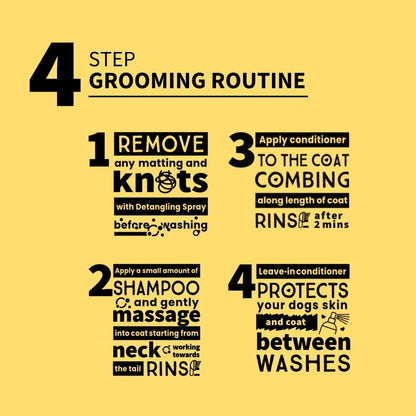 4-step grooming routine for Maltese dogs on a yellow background
