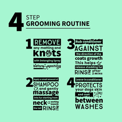 4-step schnauzer grooming routine guide on a light green background