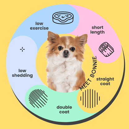 Serotoninkc Chihuahua Conditioner Infographic Sensitive Skin