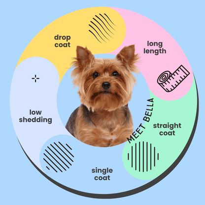 SerotoninKC Yorkshire Terrier Yorkie Conditioner Feature Icons