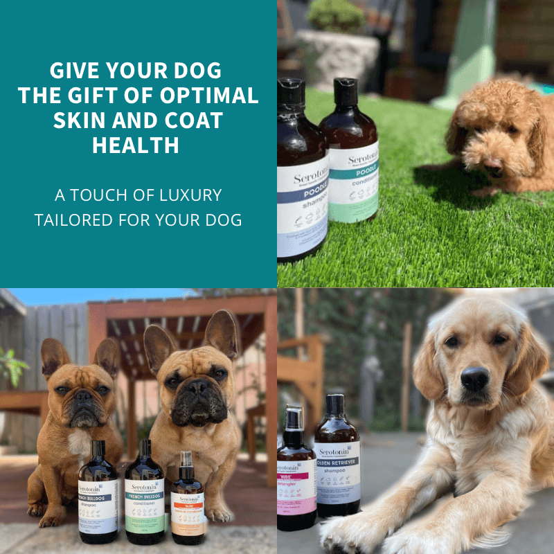 Serotoninkc Hypoallergenic Dog Shampoo for Bulldogs to Poodles