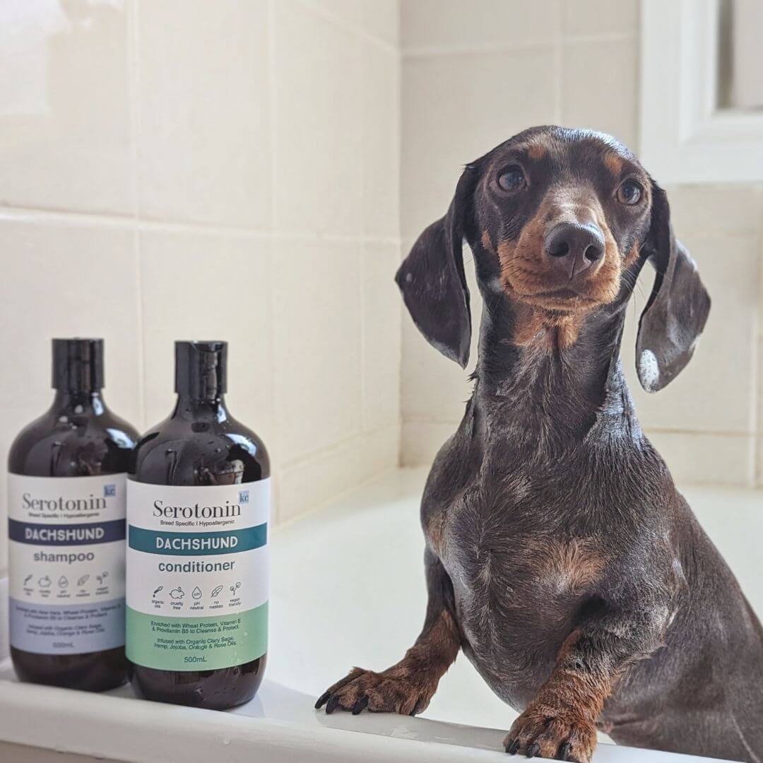 Serotoninkc Natural Dog Shampoo Dachshund