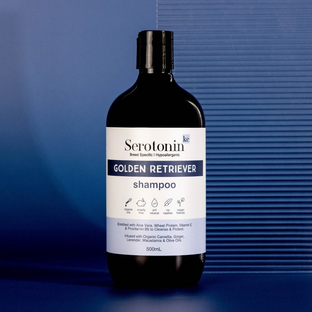 The best shampoo for Golden Retrievers - Deshedding