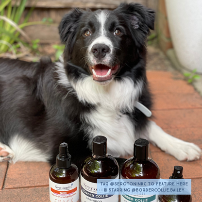 Serotoninkc Breed Specific Border Collie Best Dog Shampoo Conditioner