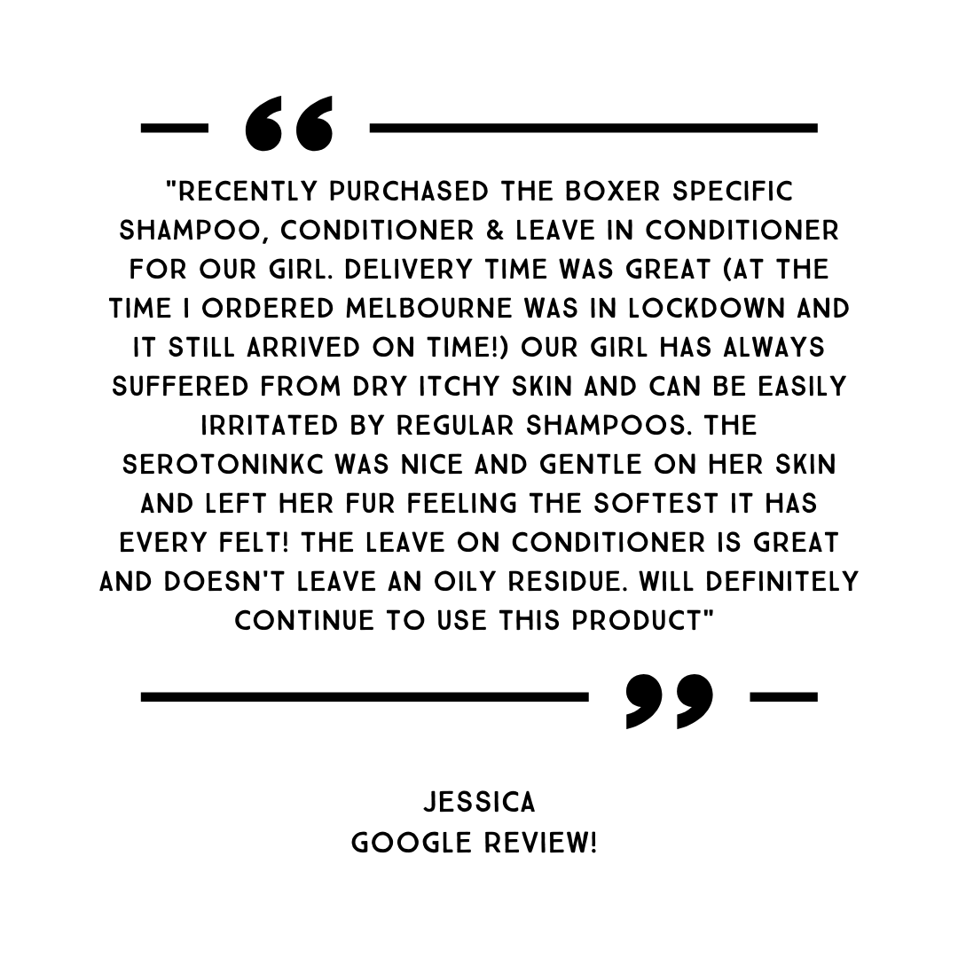 Best shampoo for shop boxers