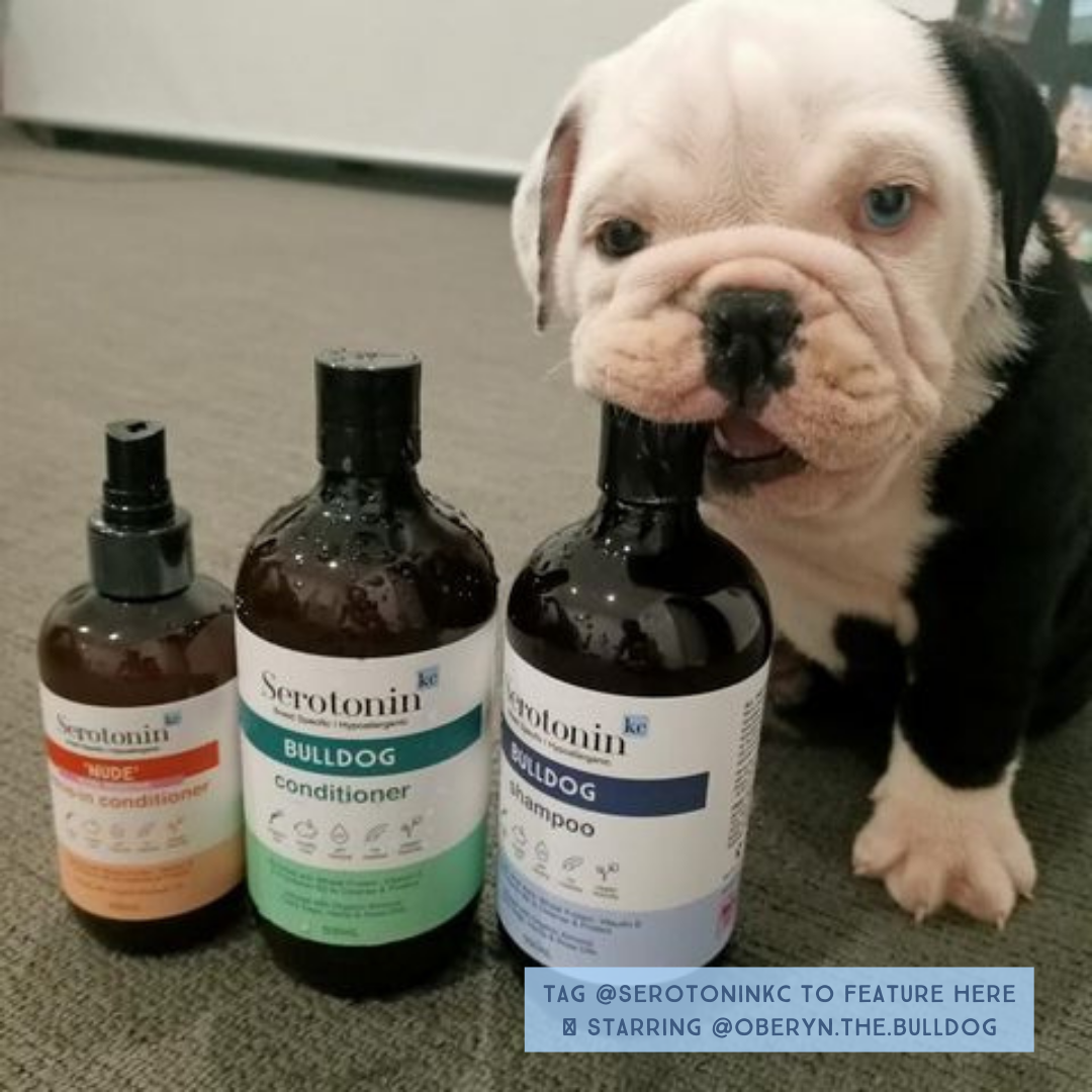 Serotoninkc Breed Specific Bulldog Best Dog Shampoo Conditioner