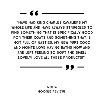 Best shampoo for cavalier king charles hot sale