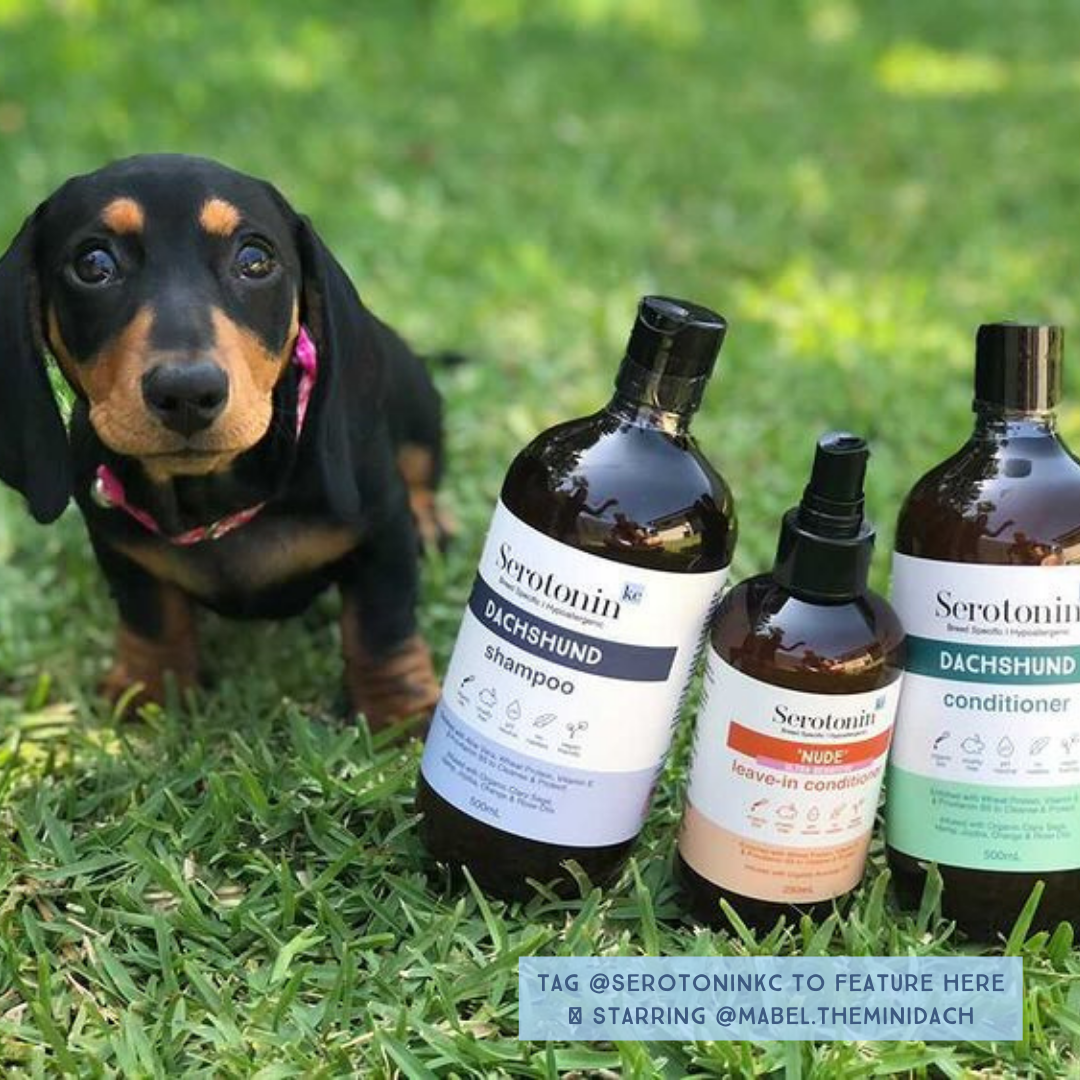 Serotoninkc Breed Specific Dachshund Best Dog Shampoo Conditioner